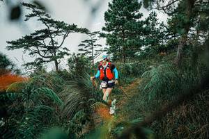 BIB: 
                            <button type="button" onclick="openModal(25258407)" class="btn btn-primary btn-sm float-right btn-popup" data-toggle="modal" data-target=".modal-high-quality">
                        <i class="fas fa-shopping-cart"></i> Add to Cart
                    </button>
                                            <button type="button" onclick="isThisMe(25258407, true)" class="btn btn-success btn-sm float-right btn-popup btn-isme hidden" data-toggle="tooltip" data-placement="bottom" title="นี่คือรูปของคุณใช่ไหม คลิกที่นี่เพื่อเอาเข้าอัลบั้ม">
                        <i class="fas fa-plus"></i> Add to album
                    </button>
                    <button type="button" onclick="isThisMe(25258407, false)" class="btn btn-warning btn-sm float-right btn-popup btn-isnotme hidden">
                        <i class="fas fa-ban"></i> Remove from album
                    </button>